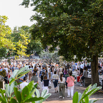 Publikum vor dem Konzert im Park