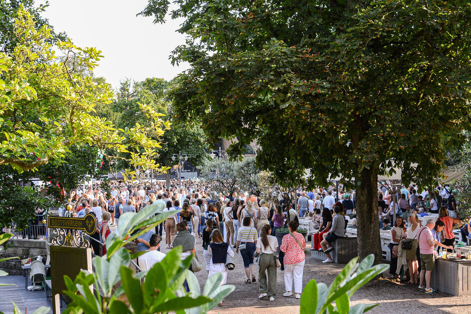 Audience before the concert in the park