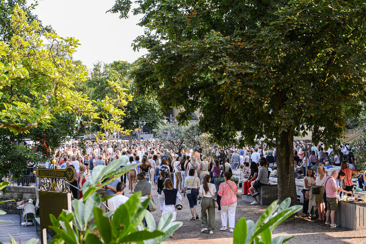 Publikum vor dem Konzert im Park
