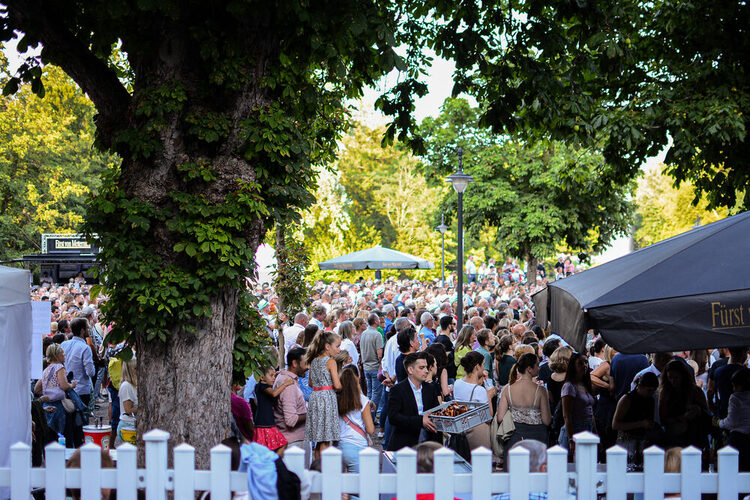 Publikum vor dem Konzert im Park