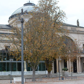 Schluchbrunnen Baumaßnahme - öffentliche Führung