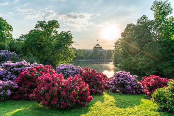 Kurpark mit abgelassenem Wasser