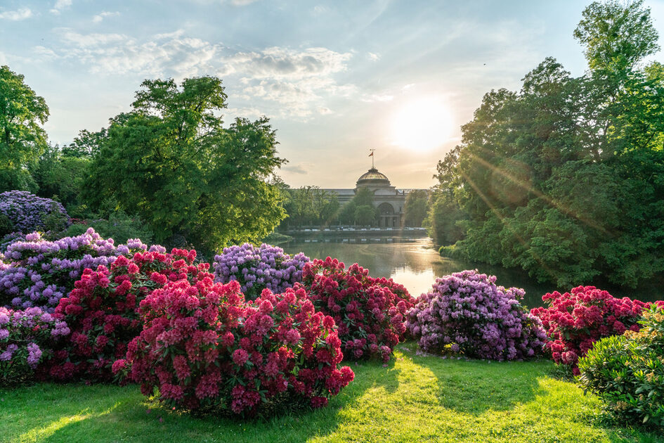 Kurpark mit abgelassenem Wasser