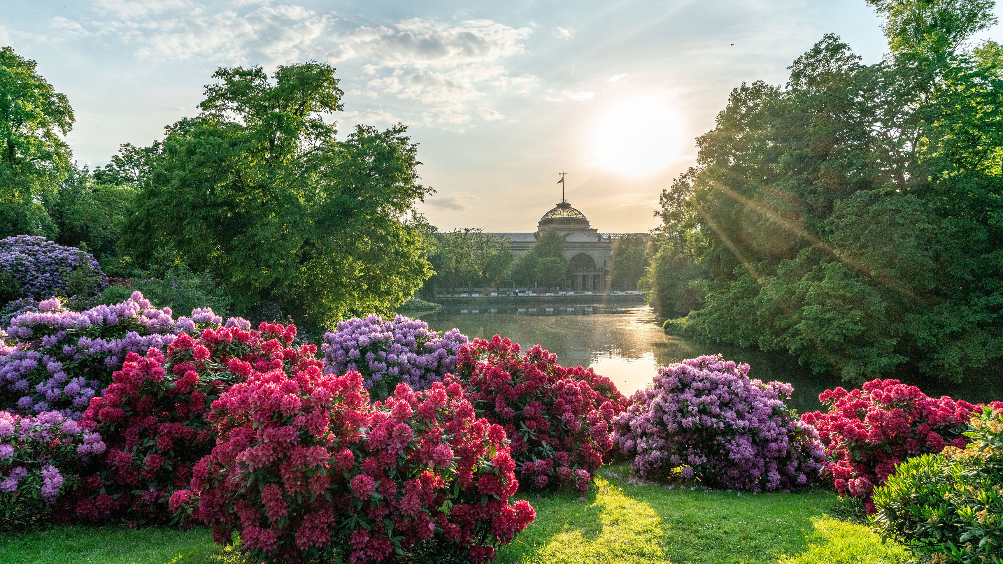 Blumen im Kurpark Wiesbaden